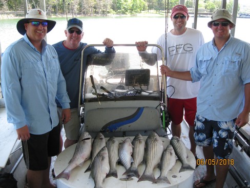 Nice Striped Bass